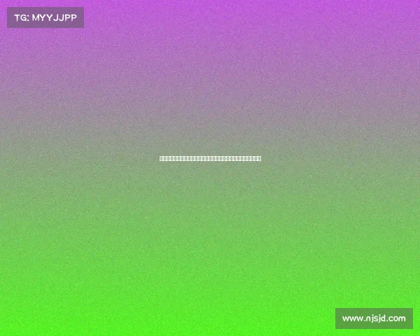 骨折治疗的新进展与康复方法探索：从早期干预到个性化恢复策略